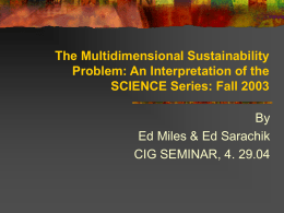 The Multidimensional Sustainability Problem: An