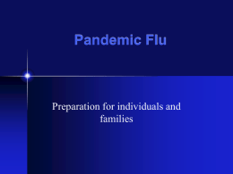 Pandemic Flu - Clinton County, NY