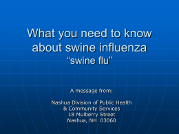 What you need to know about the swine flu