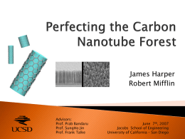 Perfecting the Carbon Nanotubes Forest