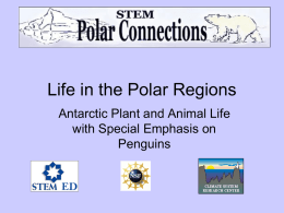 Life in the Polar Regions