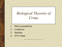 Biological Theories of Crime - Washington State University