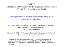 Can We Detect Dark Matter With Bubble Chambers?