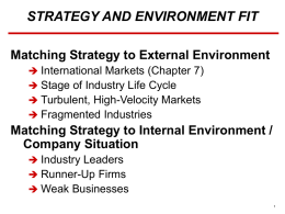 STRATEGY AND ENVIRONMENT FIT