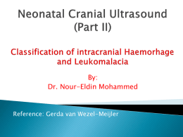 Neonatal Cranial Ultrasound