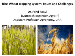 Rice-Wheat cropping system of Punjab: Issues and Challenges