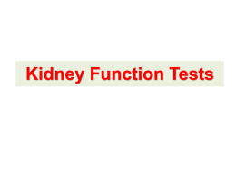 Kidney Function Testing - Yola