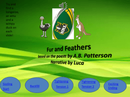 Fur and Feathers based on the poem by A.B. Patterson