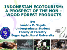 INDONESIAN ECOTOURISM: A PROSPECT OF THE NON &ndash; &hellip;