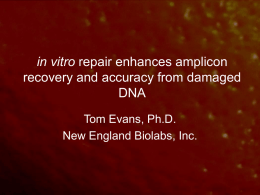 PreCR DNA Repair Mix - Smithsonian Institution