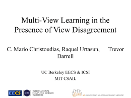Multi-View Learning in the Presence of View Disagreement