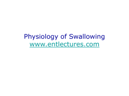 Physiology of Swallowing