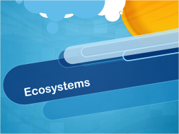 Ecosystems - East Tech Titans