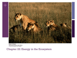 Chapter 6: Energy in the Ecosystem