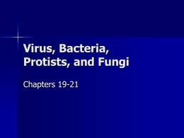 Virus , Bacteria , and Fungi