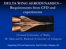 DELTA WING AERODYNAMICS – Requirements from CFD and