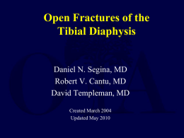 Open Fractures of the Tibial Diaphysis