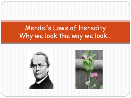 Mendel's Laws of Heredity - West-MEC