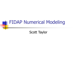 FIDAP Numerical Modeling