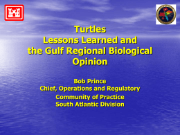Turtles Lessons Learned and the Gulf Regional Biological