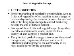 fv-storage - Home|Faculty Members Websites|The