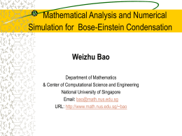 Numerical Simulations for Bose
