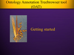 Ontology Annoyation Treebrowser (OAT)