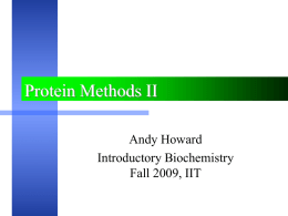 Biochemical Thermodynamics - Illinois Institute of Technology