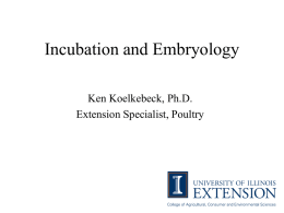 Incubation and Embryology - University of Illinois Extension