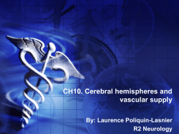 CH10. Cerebral hemispheres and vascular supply