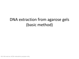 DNA extraction from agarose gels (basic method)