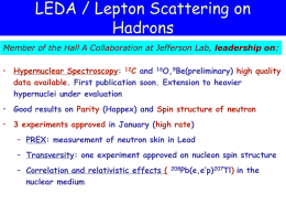 LEDA / Lepton Scattering on Hadrons