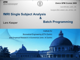 fMRI Single Subject Analysis & Batch Programming