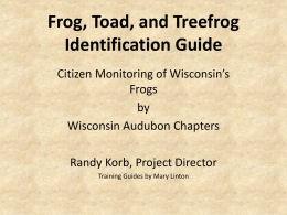 Citizen Monitoring of Wisconsin&rsquo;s Frogs