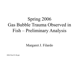 Spring 2006 Gas Bubble Trauma Observed in Fish
