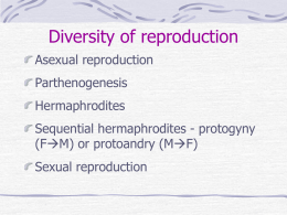 Diversity of reproduction