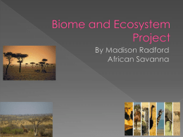 Biome and Ecosystem Project