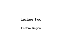 Lecture Two - Maryville University