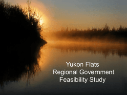 Yukon Flats Region Government Feasibility Study
