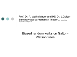 Prof. Dr. A. Walkolbinger and HD Dr. J.Geiger Seminary