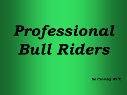 http://pl.wikipedia.org/wiki/Professional_Bull_Riders