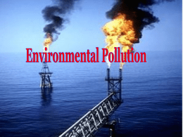 Environmental Pollution . ppt