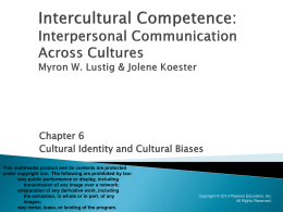 Intercultural Competence: Interpersonal Communication