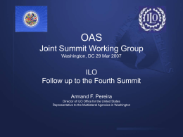 OAS Joint Summit Working Group Washington, DC 29 Mar 2007