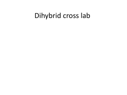 Dihybrid cross lab - Aurora Public Schools: APS Home