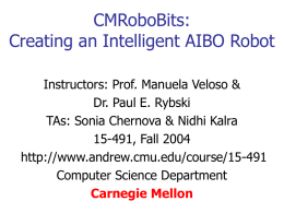 Pick-Up Robot Soccer Teams: Team Cognition in Adversarial