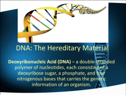 DNA: The Hereditary Material