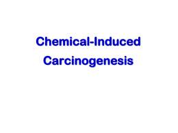 Chemical Carcinogenesis - Laboratory of Environmental