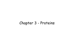 Chapter 3 - Proteins