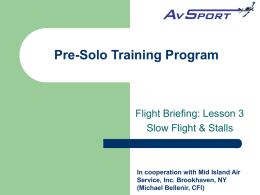 Sport Pilot Training Program